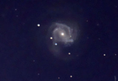 Supernova 2020jfo